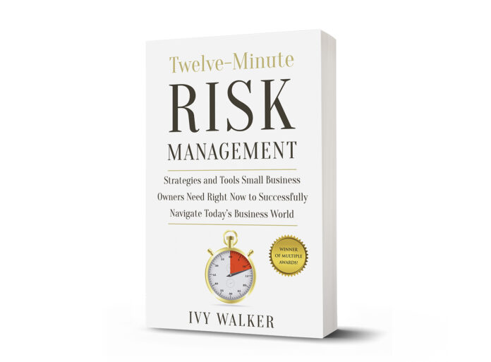 Twelve Minute Risk Management: Strategies and Tools Small Business Owners Need Right Now to Successfully Navigate Today's Business World
