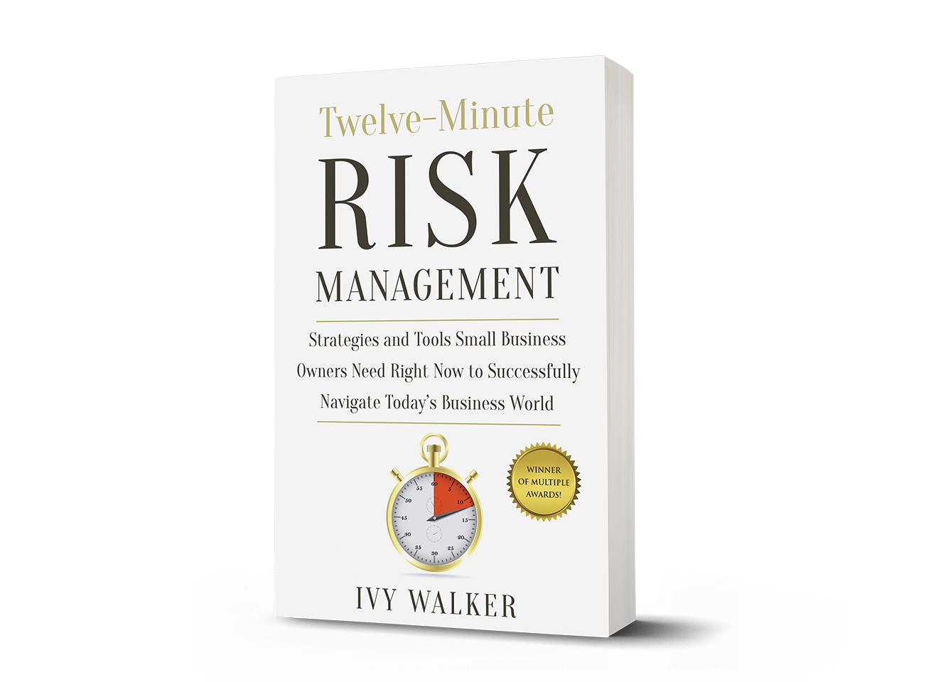 Twelve Minute Risk Management: Strategies and Tools Small Business Owners Need Right Now to Successfully Navigate Today's Business World