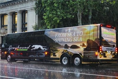 Greyhound America 250 Fleet